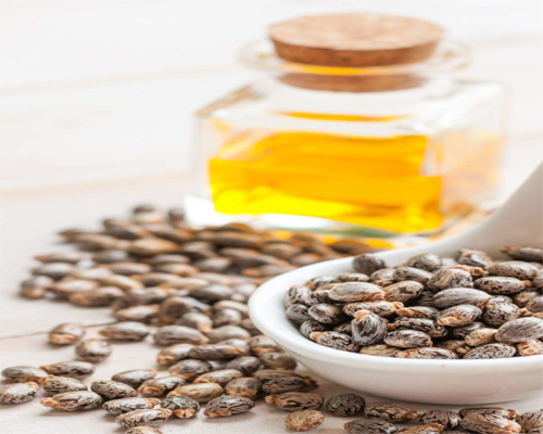 Castor Oil Manufacturers in Chennai